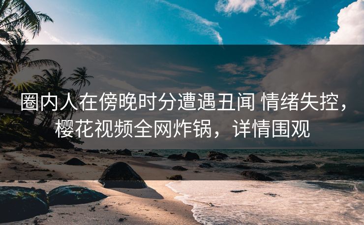圈内人在傍晚时分遭遇丑闻 情绪失控，樱花视频全网炸锅，详情围观